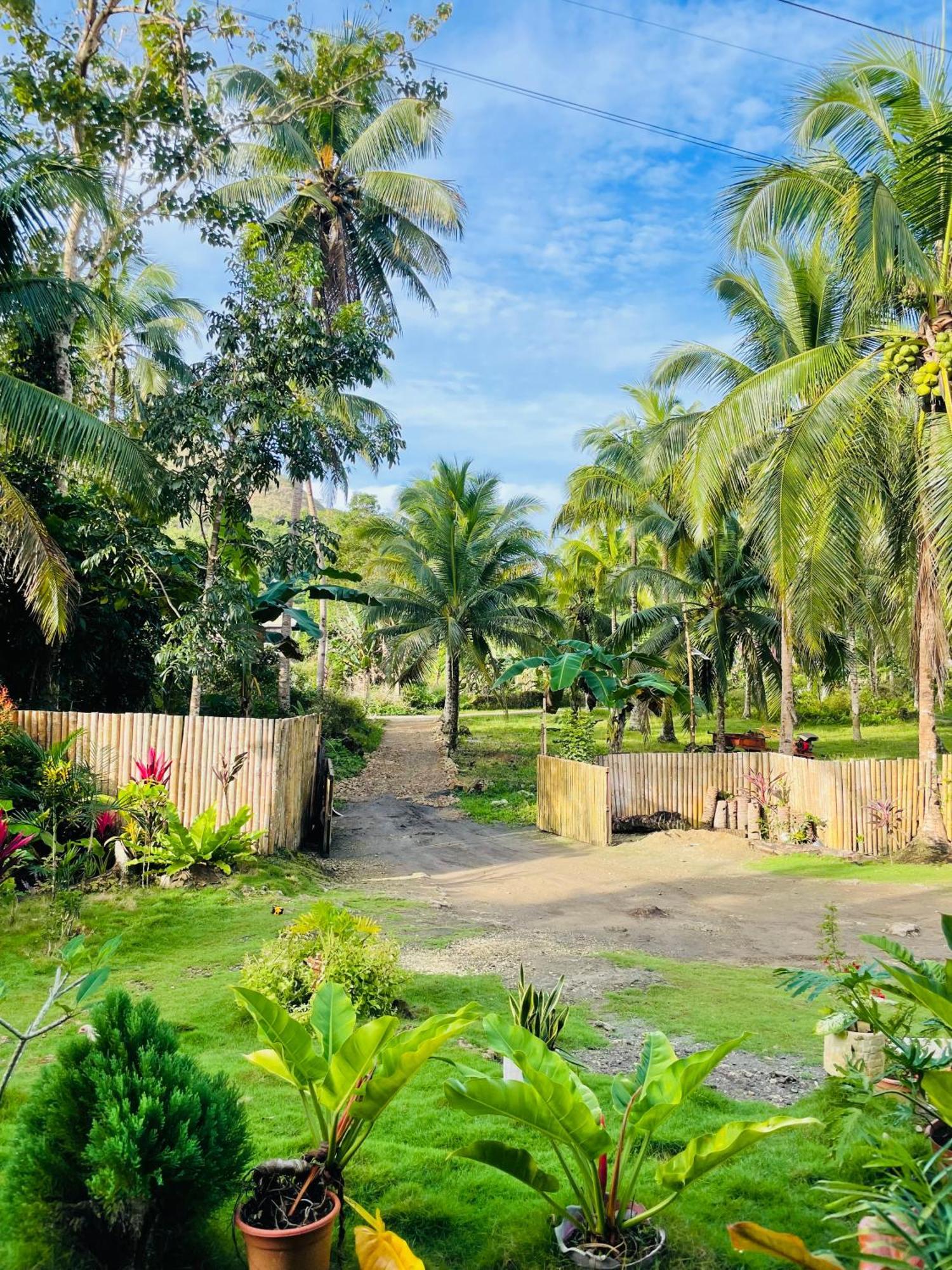 Casa Aguelo Chocolate Hills Bed & Breakfast Carmen  Luaran gambar