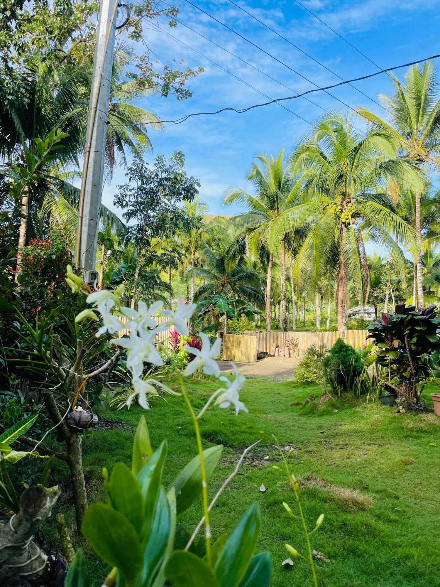 Casa Aguelo Chocolate Hills Bed & Breakfast Carmen  Luaran gambar